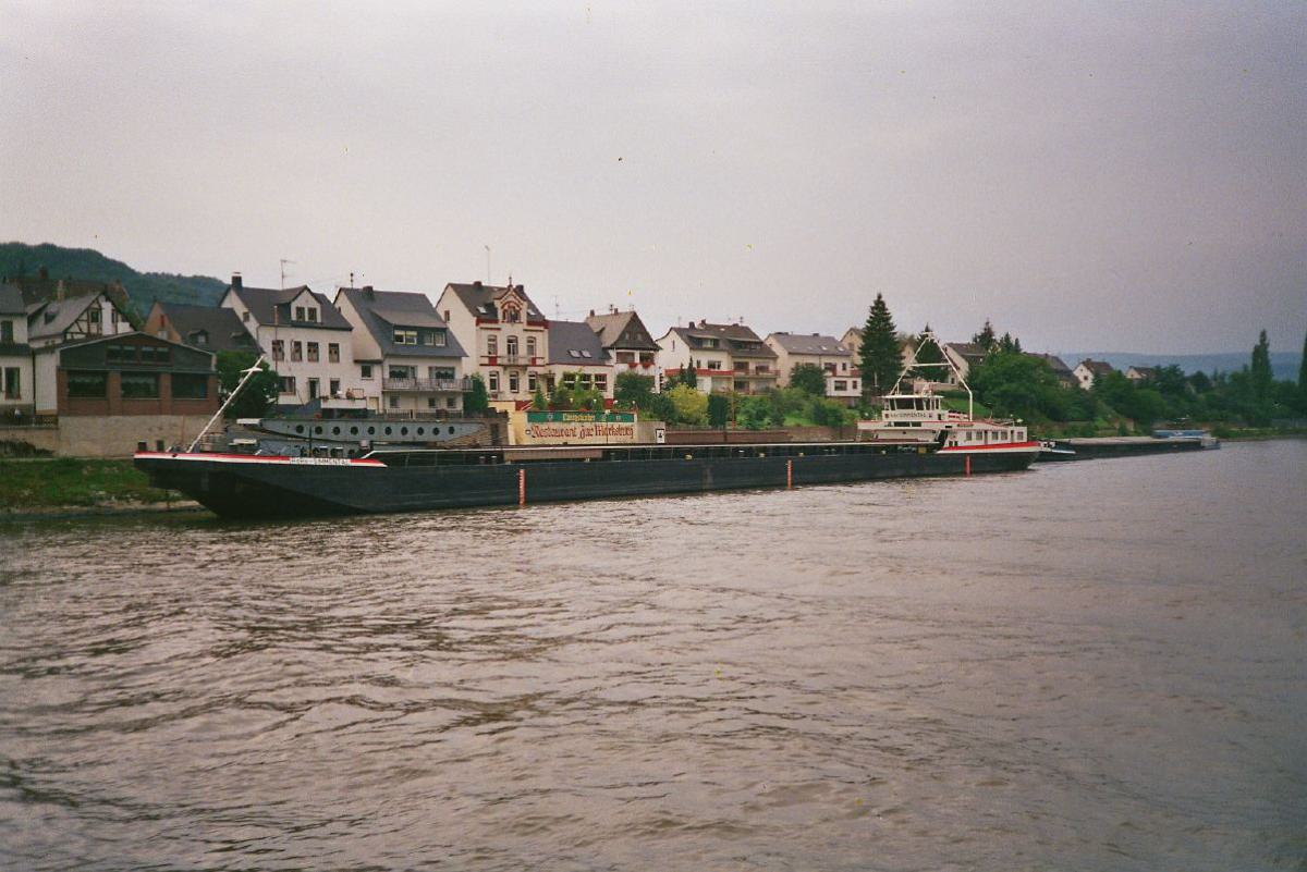 RoRo Simmental
