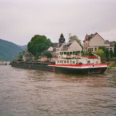 RoRo Simmental