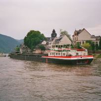 RoRo Simmental