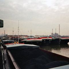 AV 1984