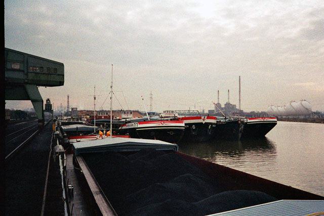AV 1984