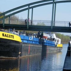 Salute-1
